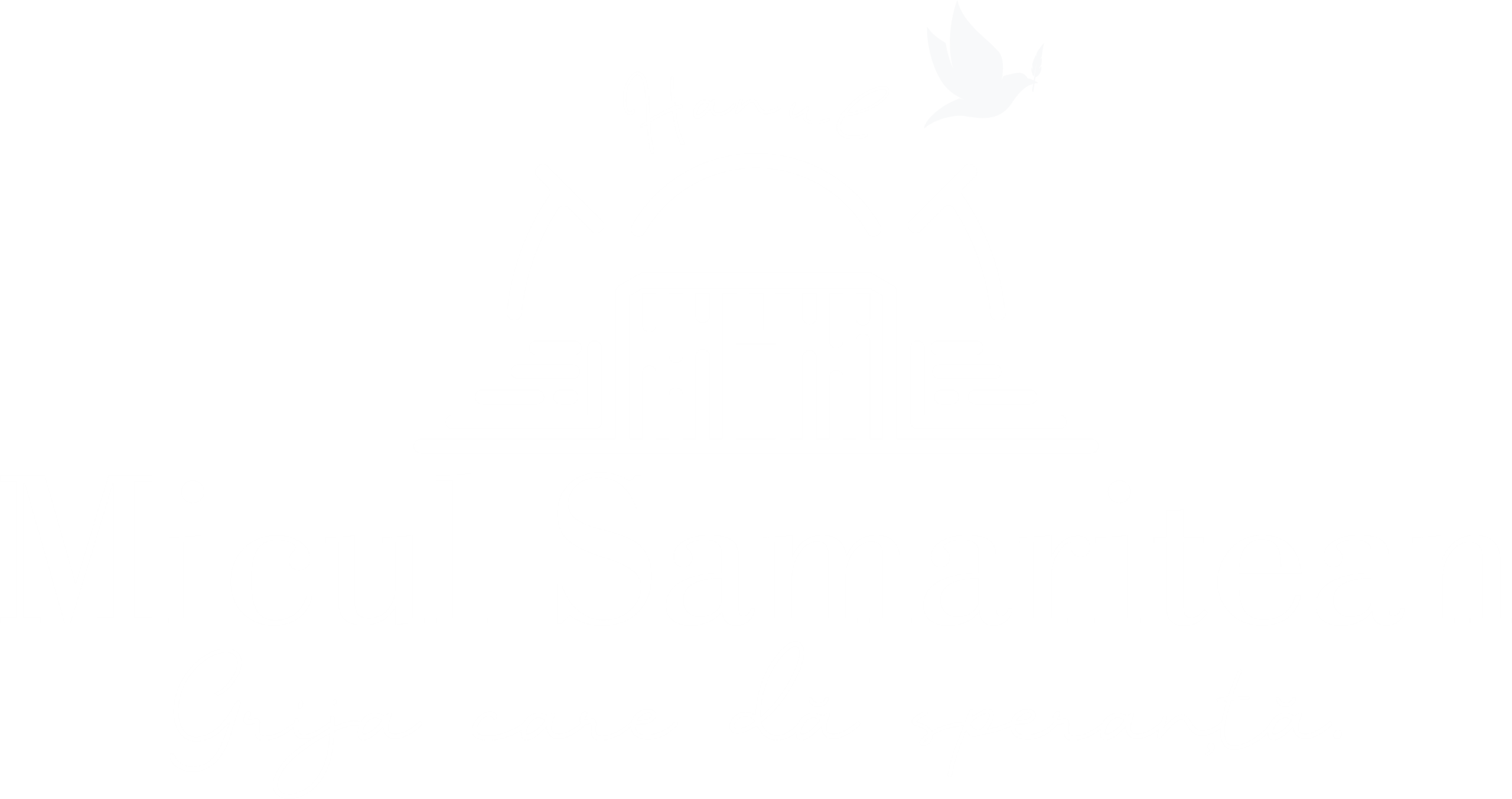 Micul Samaritean